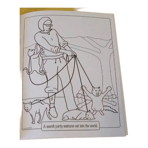 Crazy Cat Lady Coloring Activity Book