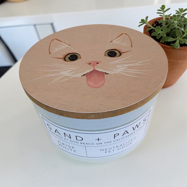 Sand + Paws Cat Candle
