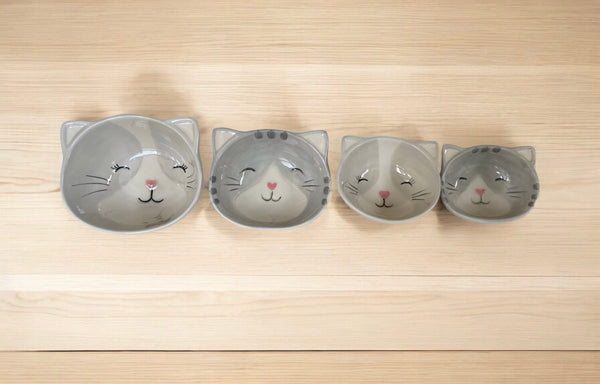 Gray Tabby Cats Measuring Cups