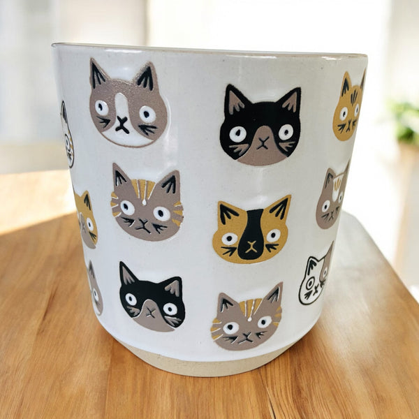 Perplexed Tabby Cats Coffee Mug