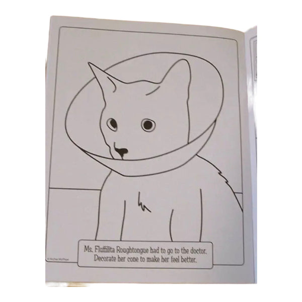 Crazy Cat Lady Coloring Activity Book