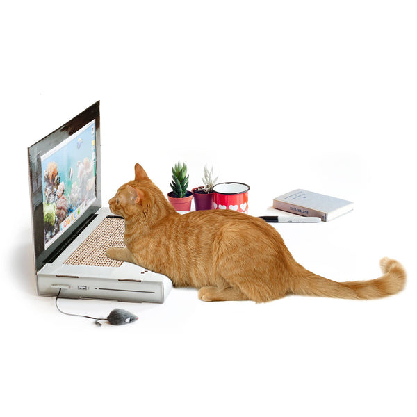Cool Cat Laptop Scratch Pad