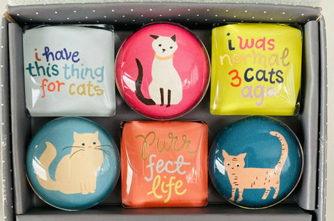 Have a Thing for Cats Glass Magnets - The Good Cat Company