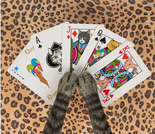 Cat Playing Cards for Poker Playing Felines