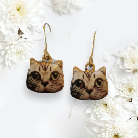 Brown Tabby Cat with Big Eyes Pierced Earrings - The Good Cat Company