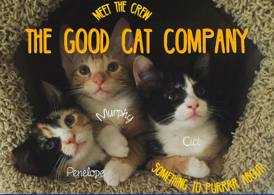 The Good Cats~~Penelope, Murphy & Cici